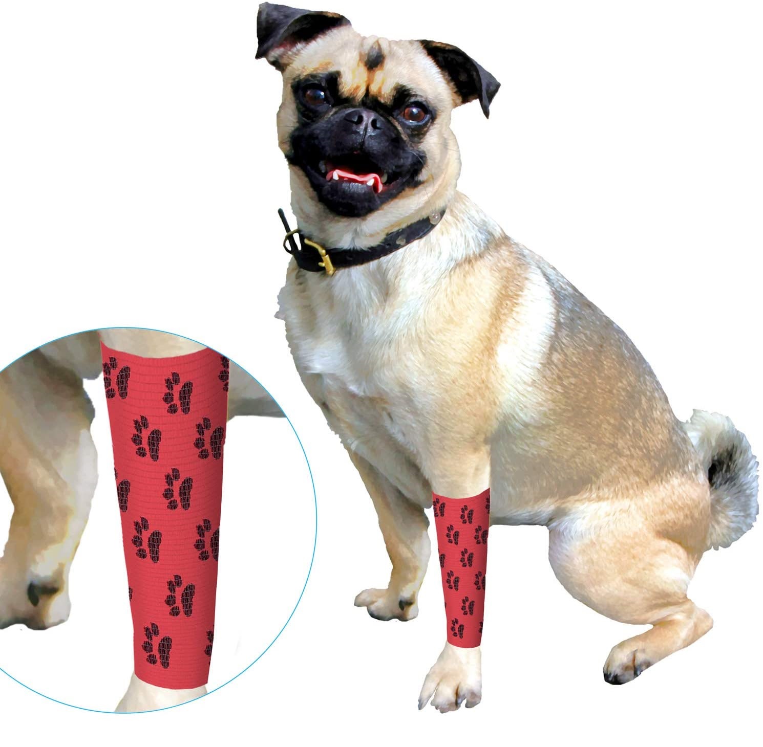 Self Adhering Bandage - Injury Wrap Tape for Pets (Dogs Cats Horses